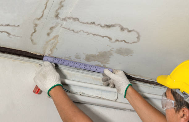 Reliable Burst Pipe Cleanup contractor in Richmond, MI by Water Damage Irwin